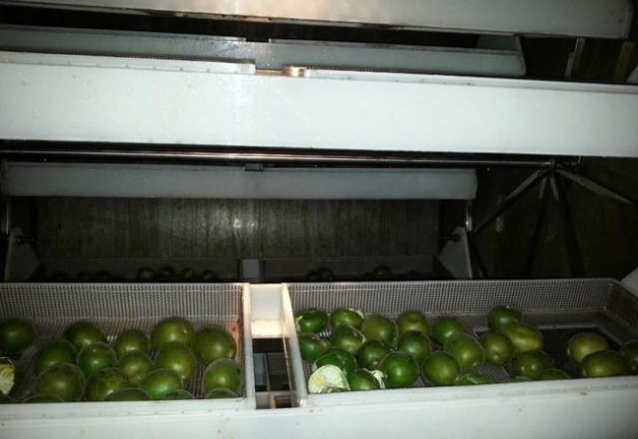 微(wēi)波真空干燥(zào)机概述 微波真空干燥机概(gài)述