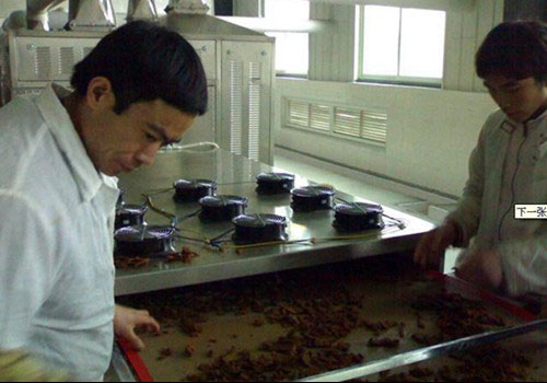 牛肉干微(wēi)波干燥杀菌设备 牛肉干微波干燥杀菌设备